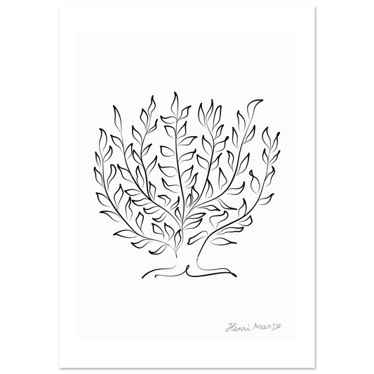 8554768d-d662-4d36-a539-deb365eba045